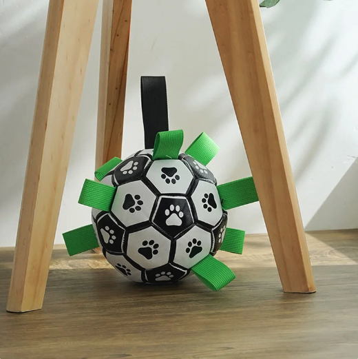 Interactive Soccer Brain Game for Dogs